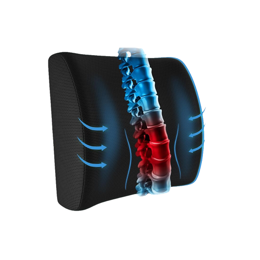 Coussin Orthopédique Dossier SheerSanté®