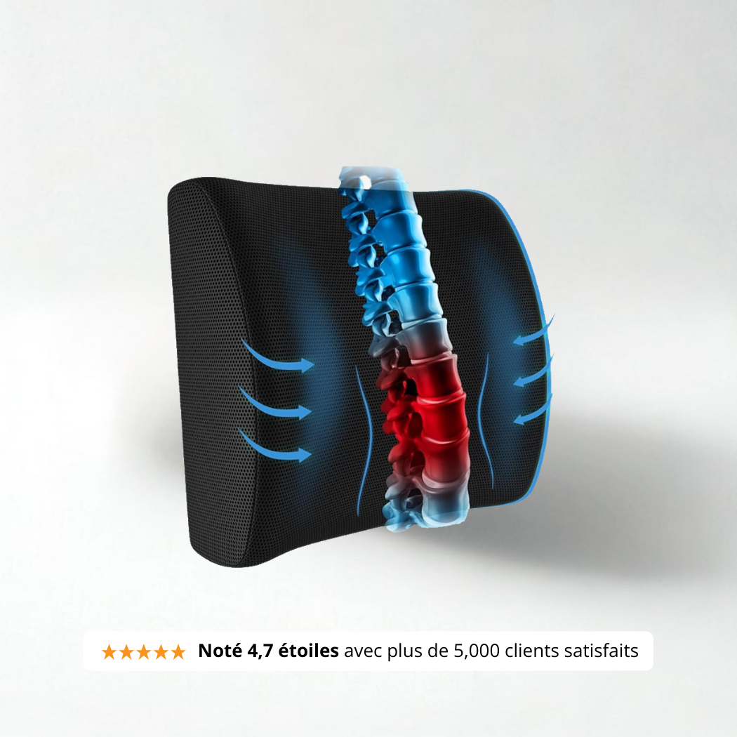 Coussin Orthopédique Dossier SheerSanté®